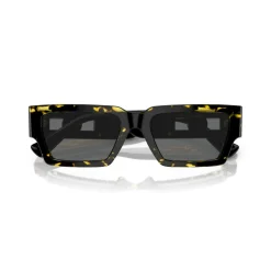 Rectangle Sunglasses VE4459