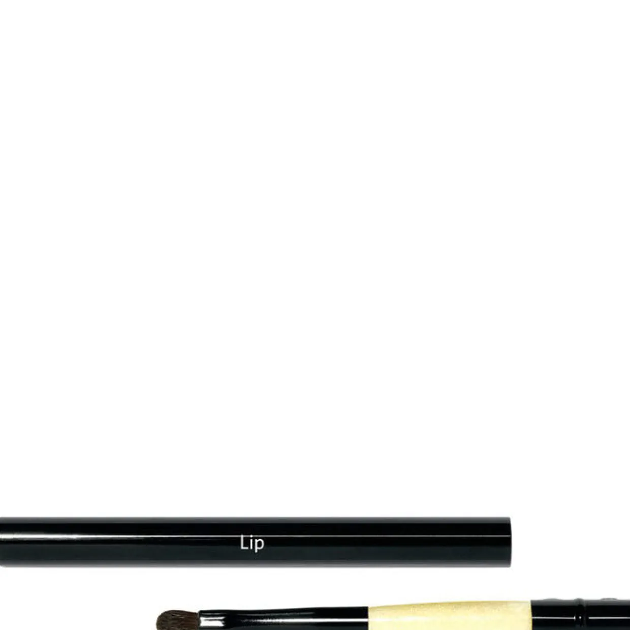 Retractable Lip Brush