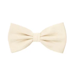Ribbed Woven Bow Tie
