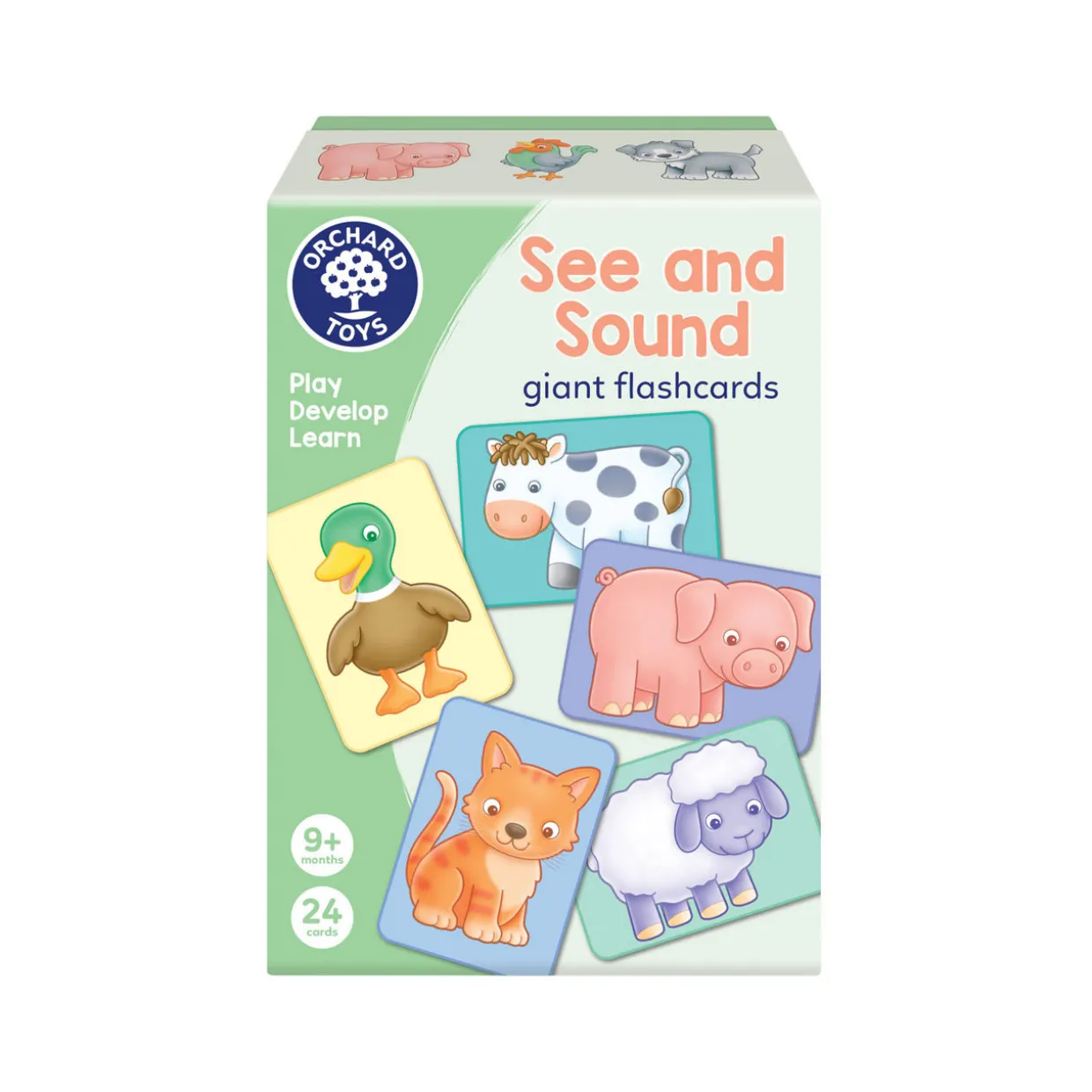 See & Sound Giant Flashcards