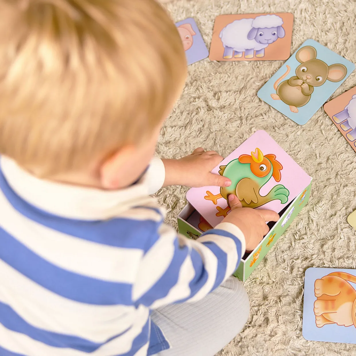See & Sound Giant Flashcards