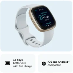 Sense 2 Blue Mist-Soft Gold Smart Watch