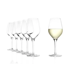 Set of 6 Exquisite White Wine Glasses