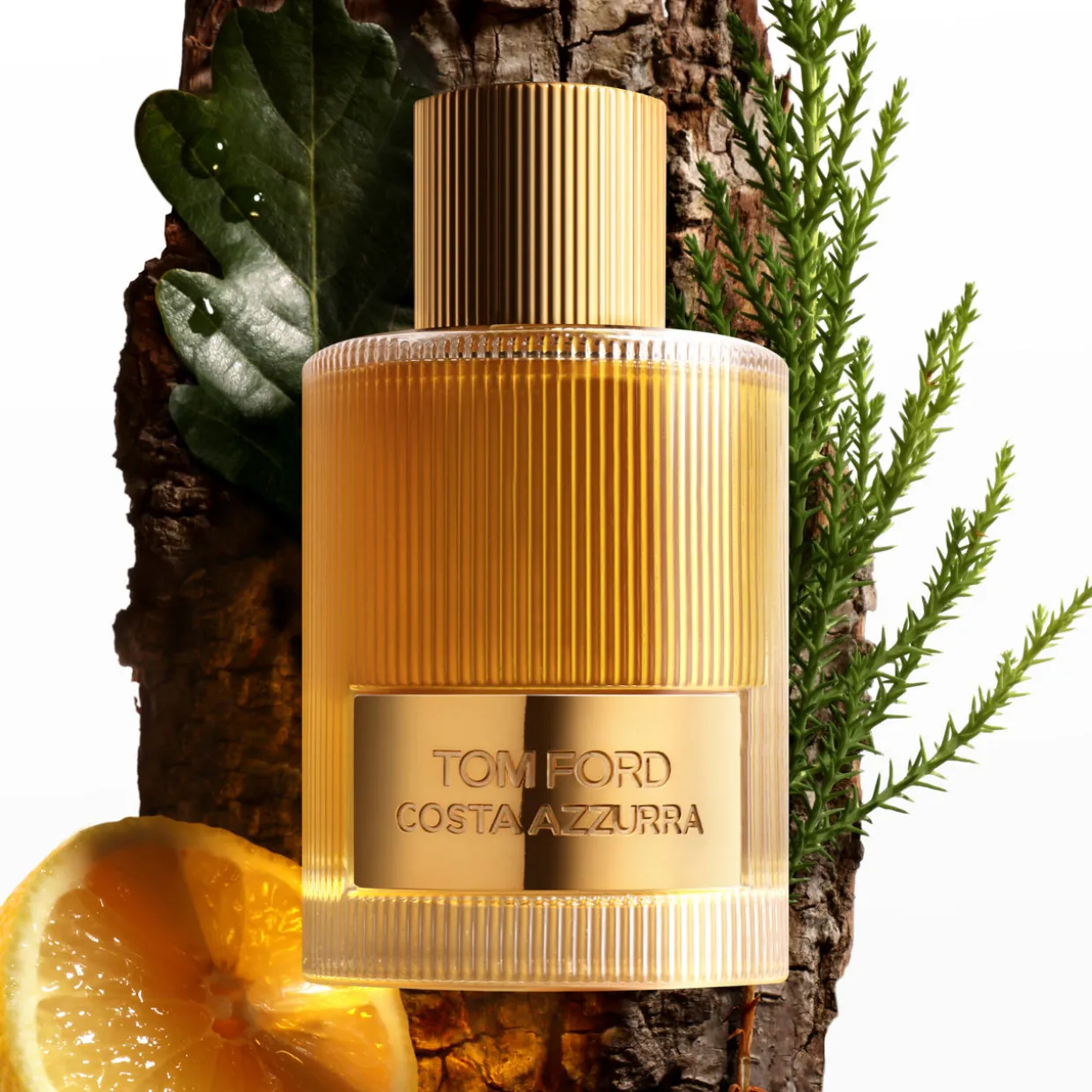 Signature Mini Discovery Set