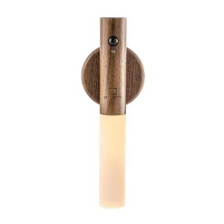 Smart Baton Light