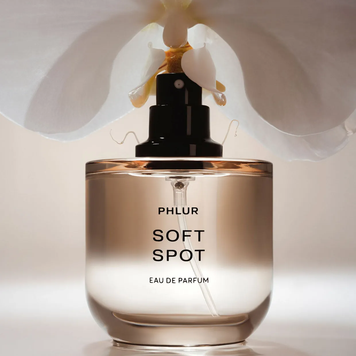Soft Spot EDP