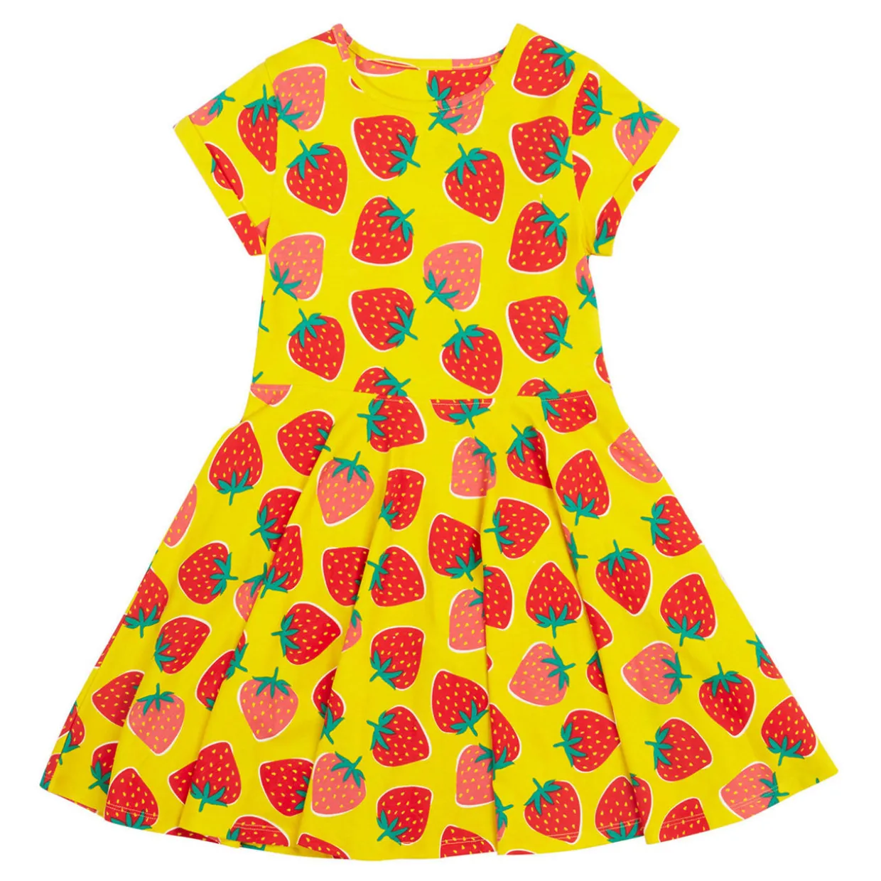 Spring Strawberry Skater Dress