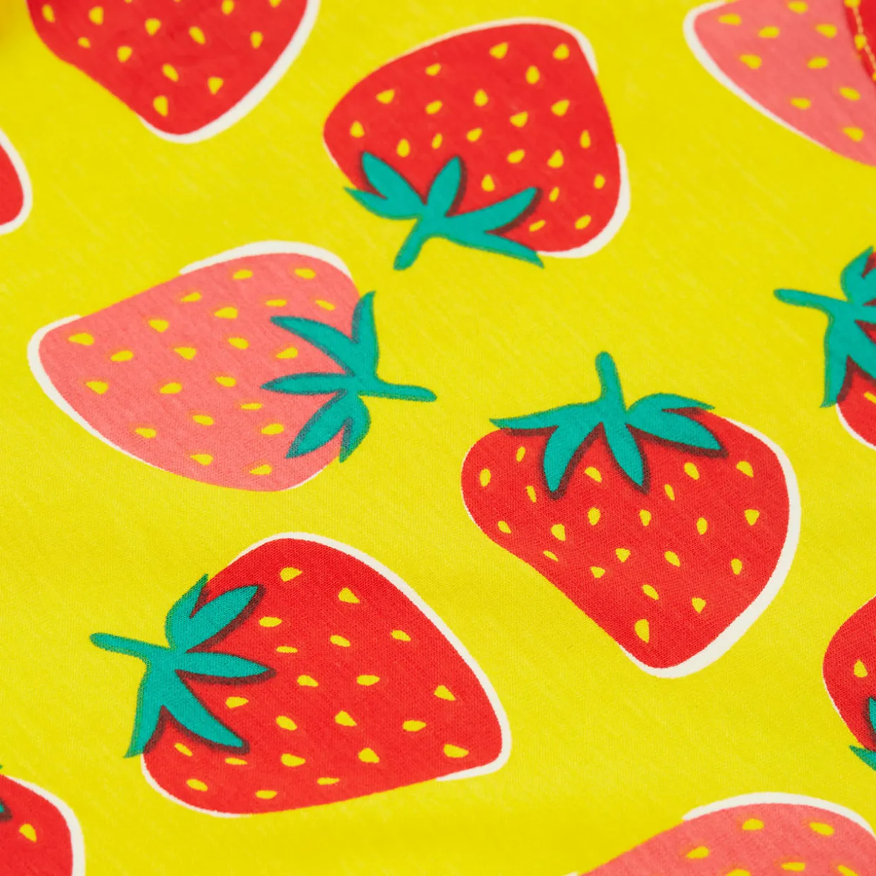 Spring Strawberry Skater Dress