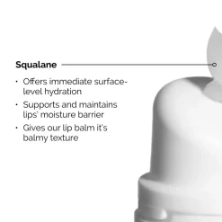 Squalane + Amino Acids Lip Balm