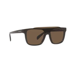 Square Sunglasses EA4193