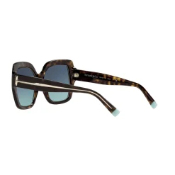 Square Sunglasses TF4183