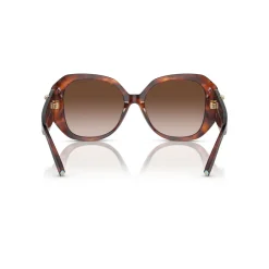 Square Sunglasses TF4207B
