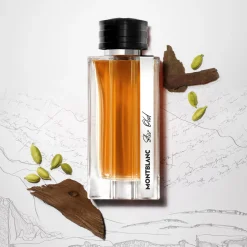 Star Oud EDP