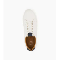 Tezzy Trainers