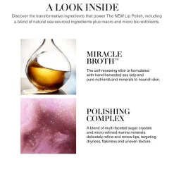 The Lip Polish