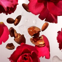 The Ritual of Ayurveda Concentrated Refill Hand Wash