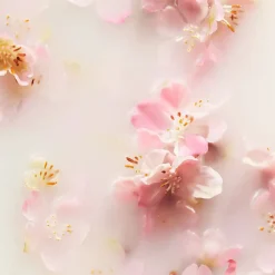 The Ritual of Sakura Refill Fragrance Sticks