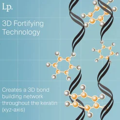 Triple Bond Complex