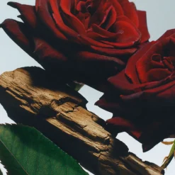 Velvet Rose & Oud Cologne Intense Classic Candle