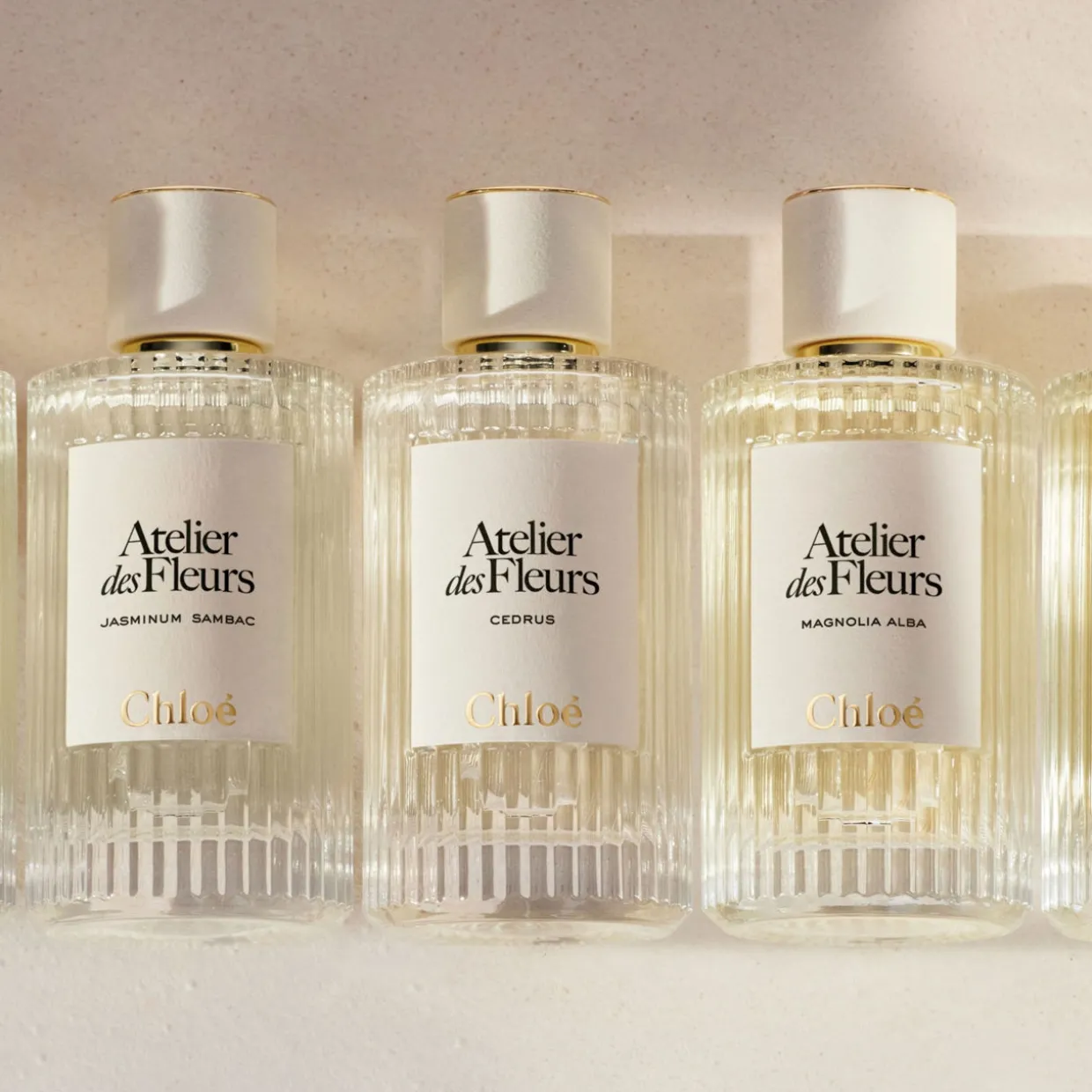 Verbena EDP