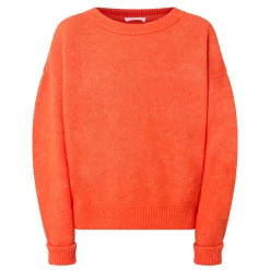 Vitow Knit Sweater