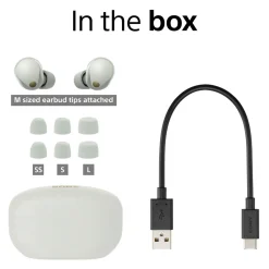 WF1000XM5 Silver TW ANC Buds