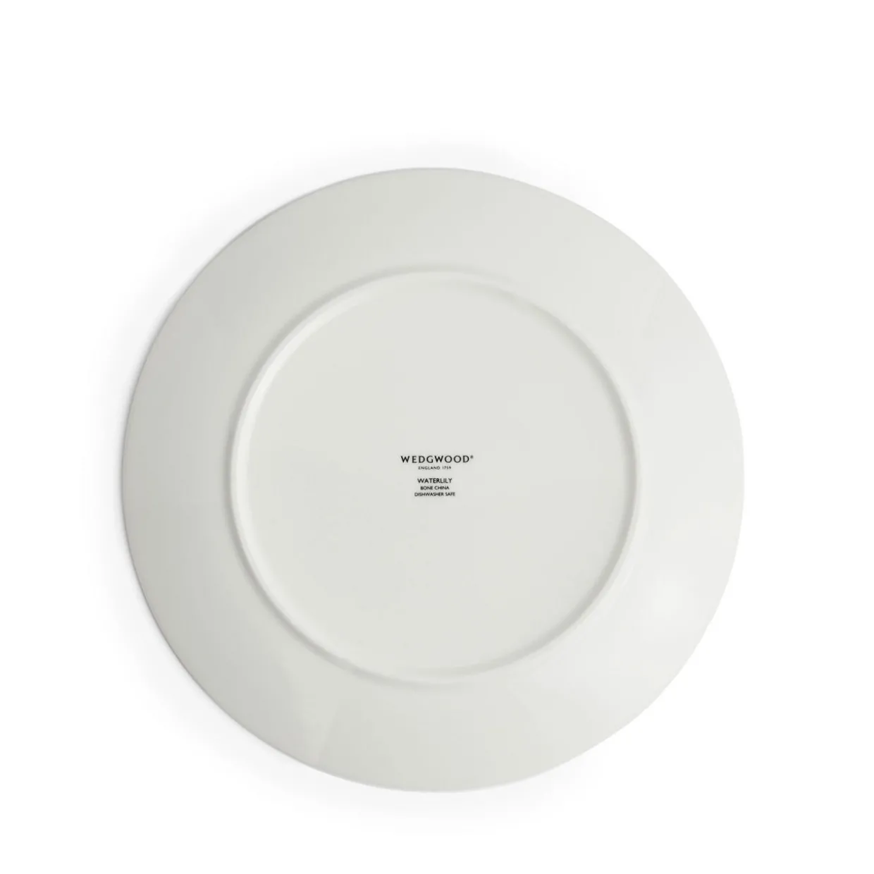 Wonderlust Waterlily Plate 20.6cm